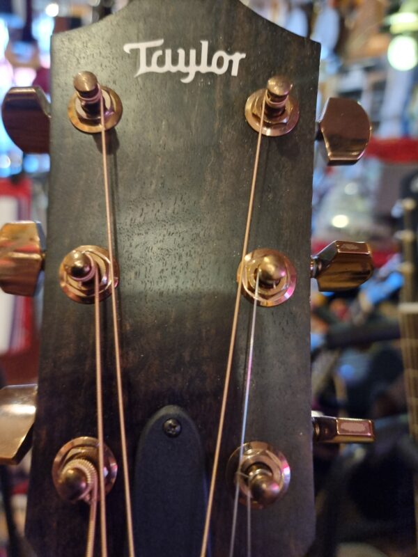 Taylor 214ce-SB DLX, Gold Hardware,Grand Auditorium  beg.pris diskuteras - Bild 2