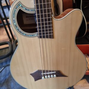 Warwick Rockbass Alien Standard WAC 1575 5 String Acoustic Bass