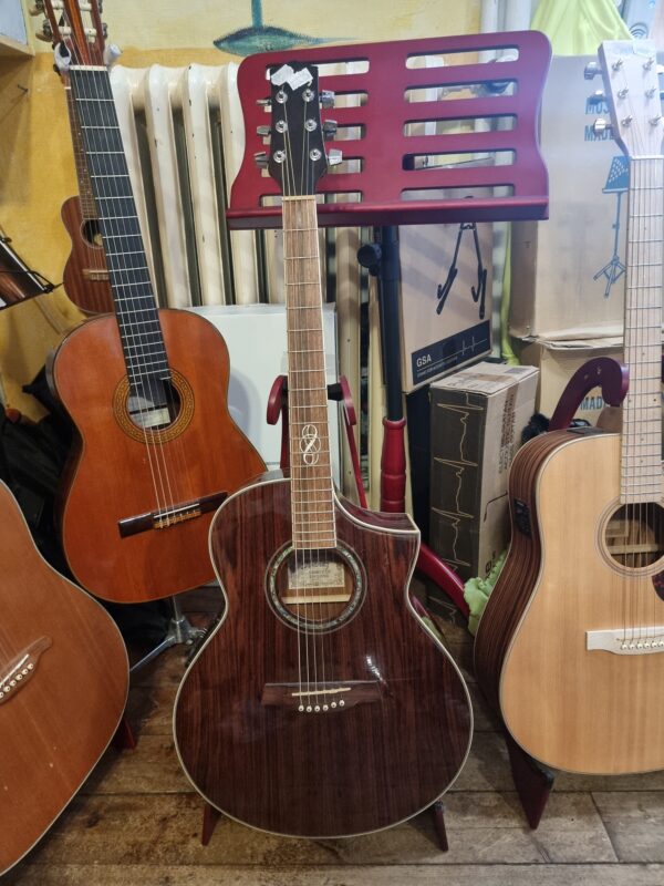 Ibanez EW20WNE-NT - mic ej fungerande - Bild 3