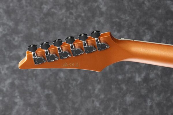 Ibanez ALT30-DOM - Bild 2