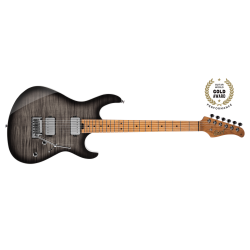 Cort G290FAT II TBB