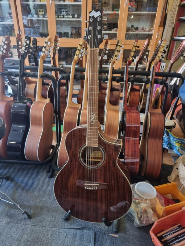 Ibanez EW20WNE-NT - mic ej fungerande - Bild 2