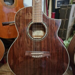 Ibanez EW20WNE-NT - mic ej fungerande
