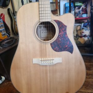 Takamine Jasmine ES40C - mic ej fungerande