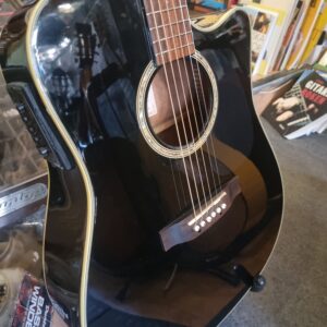 Takamine - Mycket bra skick